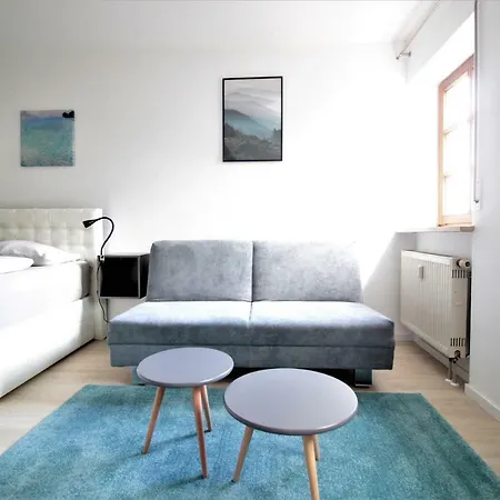 Appartement - Old Main Bridge, Own Garage Parking Space Wurtzbourg